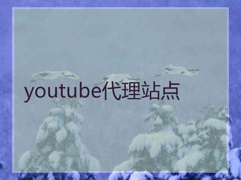 youtube代理站点 youtube代理站点