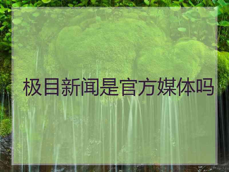 极目新闻是官方媒体吗 极目新闻是官方媒体吗