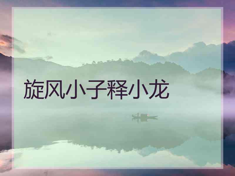 旋风小子释小龙 旋风小子释小龙