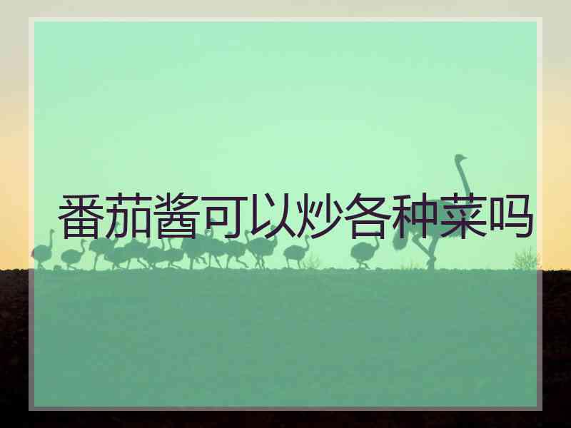 番茄酱可以炒各种菜吗 番茄酱可以炒各种菜吗