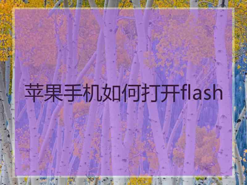 苹果手机如何打开flash 苹果手机如何打开flash