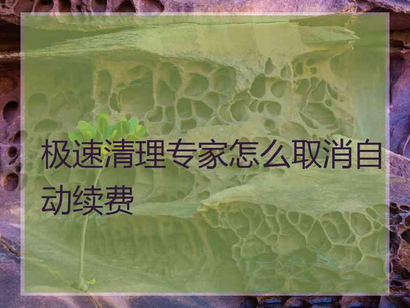 极速清理专家怎么取消自动续费 极速清理专家怎么取消自动续费