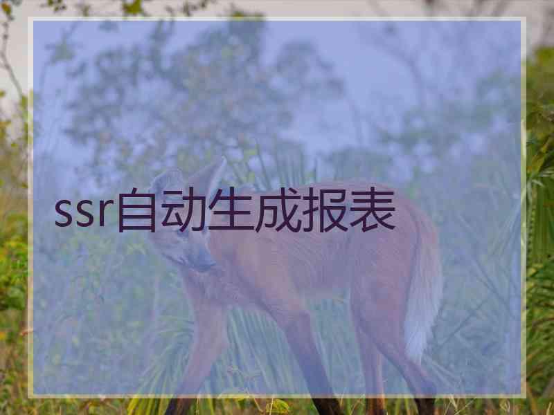 ssr自动生成报表 ssr自动生成报表