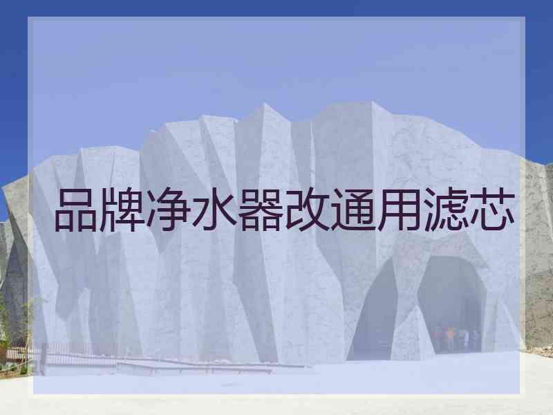 品牌净水器改通用滤芯 品牌净水器改通用滤芯