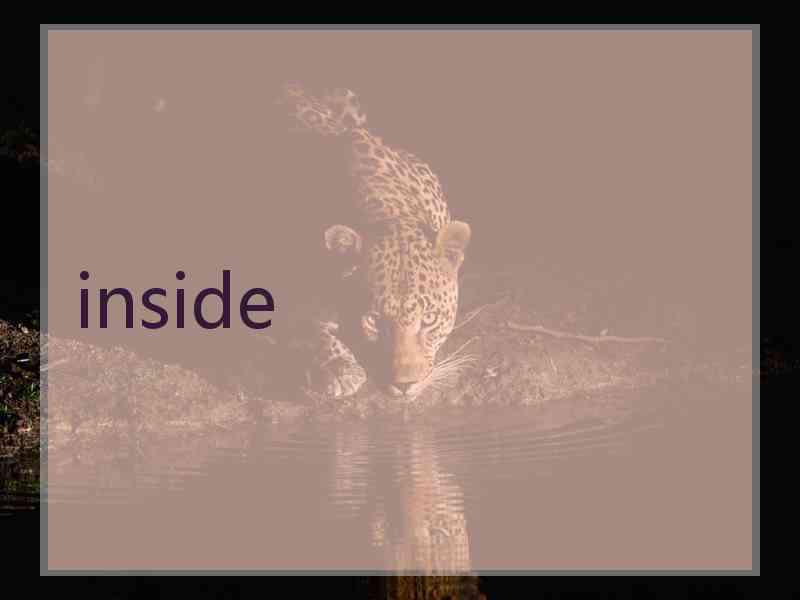 inside inside