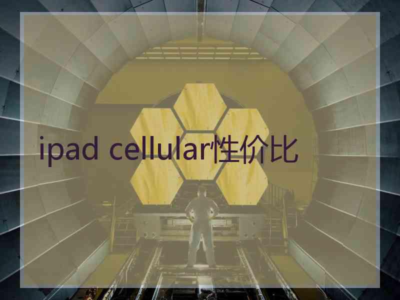 ipad cellular性价比 ipad cellular性价比