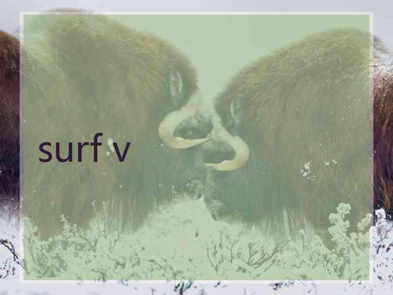 surf v surf v