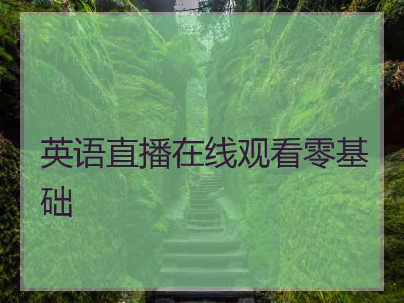 英语直播在线观看零基础 英语直播在线观看零基础