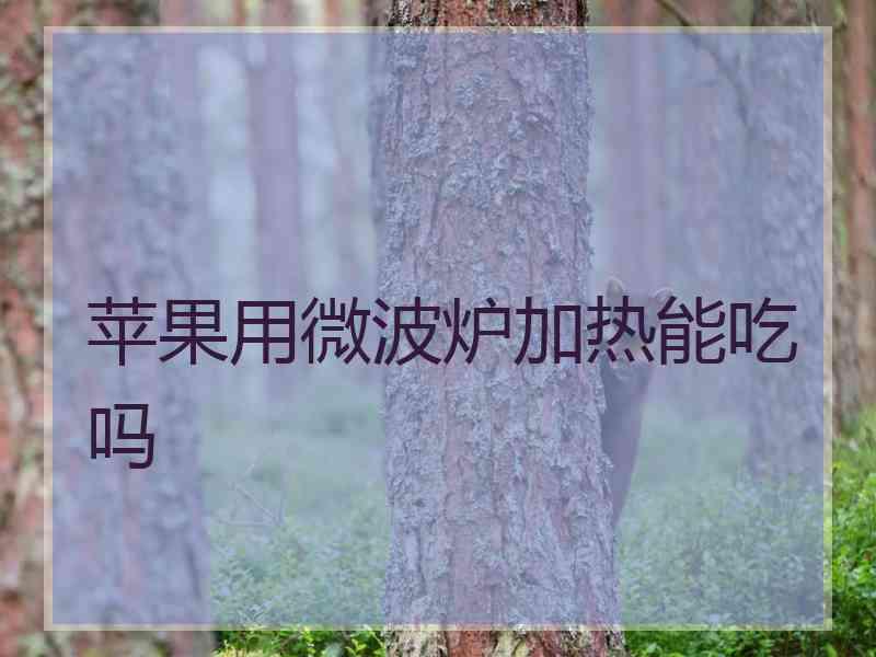 苹果用微波炉加热能吃吗 苹果用微波炉加热能吃吗
