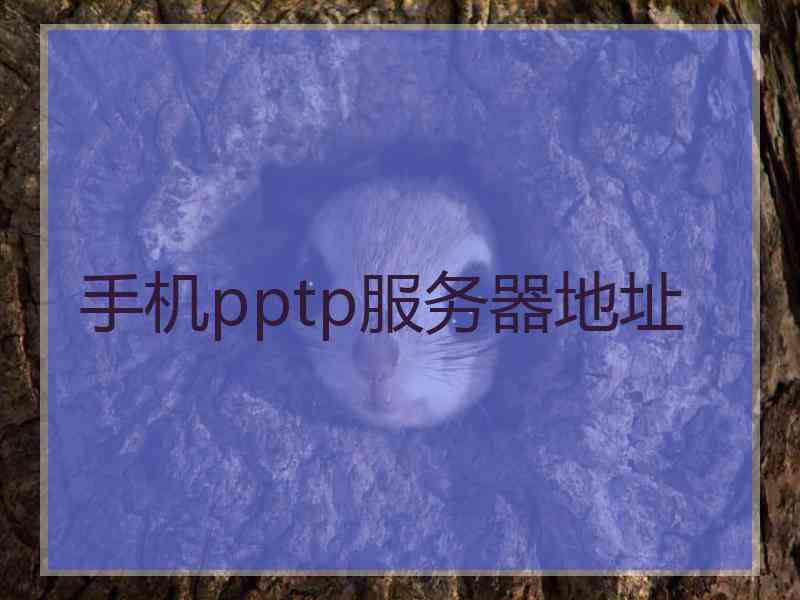 手机pptp服务器地址 手机pptp服务器地址