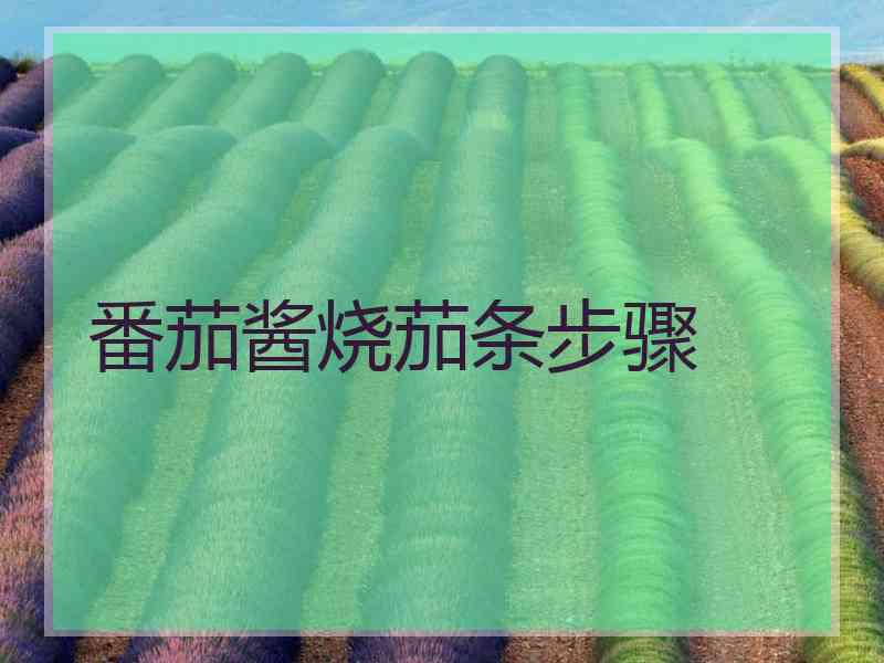 番茄酱烧茄条步骤 番茄酱烧茄条步骤