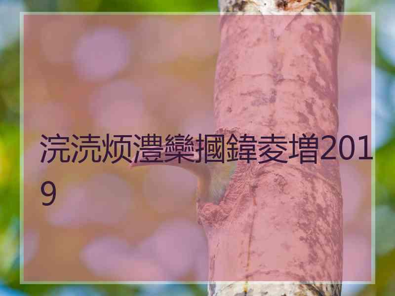 浣涜烦澧欒摑鍏夌増2019 浣涜烦澧欒摑鍏夌増2019