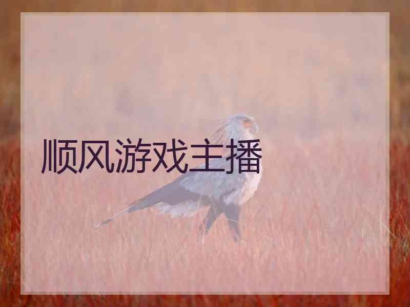 顺风游戏主播 顺风游戏主播