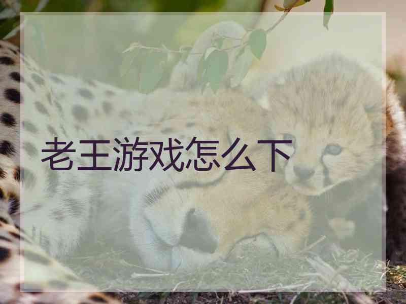 老王游戏怎么下 老王游戏怎么下