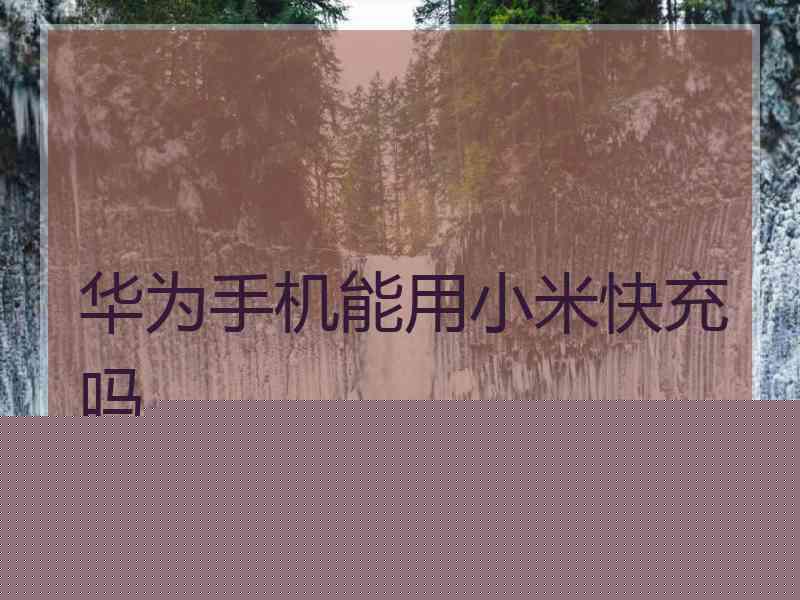 华为手机能用小米快充吗 华为手机能用小米快充吗