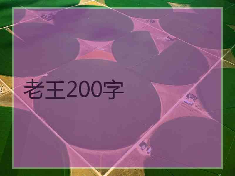 老王200字 老王200字