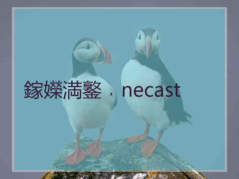 鎵嬫満鐜﹐necast 鎵嬫満鐜﹐necast
