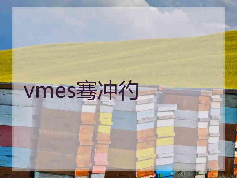 vmes骞冲彴 vmes骞冲彴