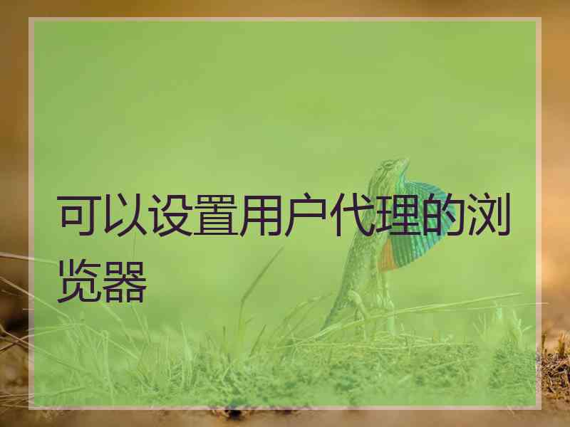 可以设置用户代理的浏览器 可以设置用户代理的浏览器