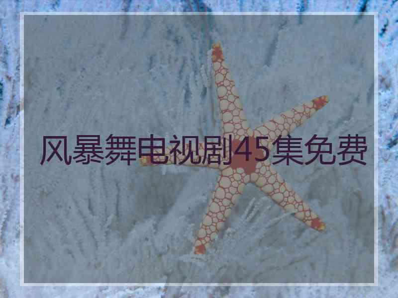 风暴舞电视剧45集免费 风暴舞电视剧45集免费