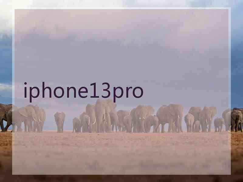 iphone13pro iphone13pro