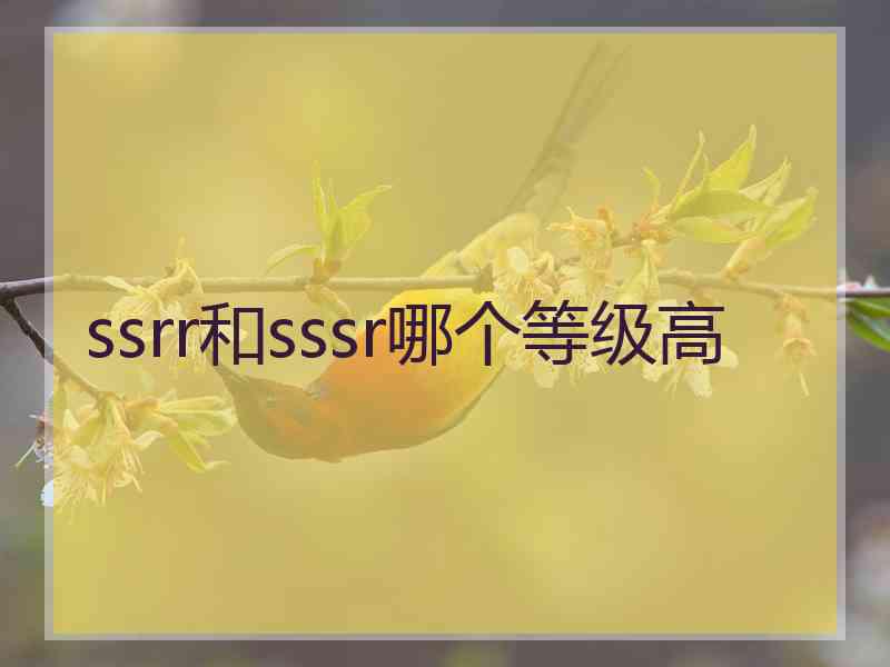 ssrr和sssr哪个等级高 ssrr和sssr哪个等级高