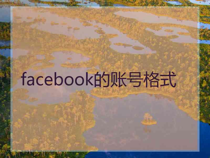 facebook的账号格式 facebook的账号格式