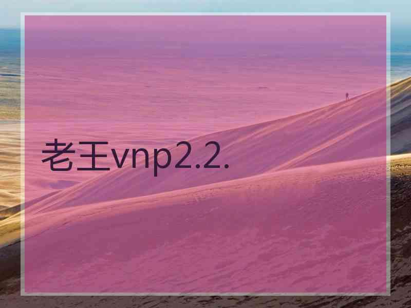 老王vnp2.2. 老王vnp2.2.
