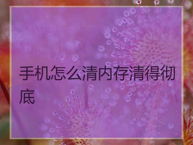 手机怎么清内存清得彻底 手机怎么清内存清得彻底
