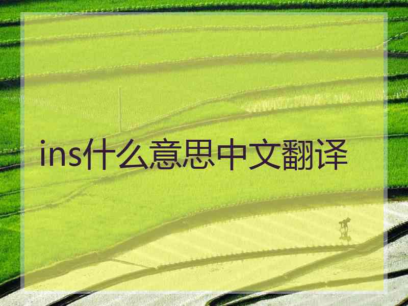 ins什么意思中文翻译 ins什么意思中文翻译
