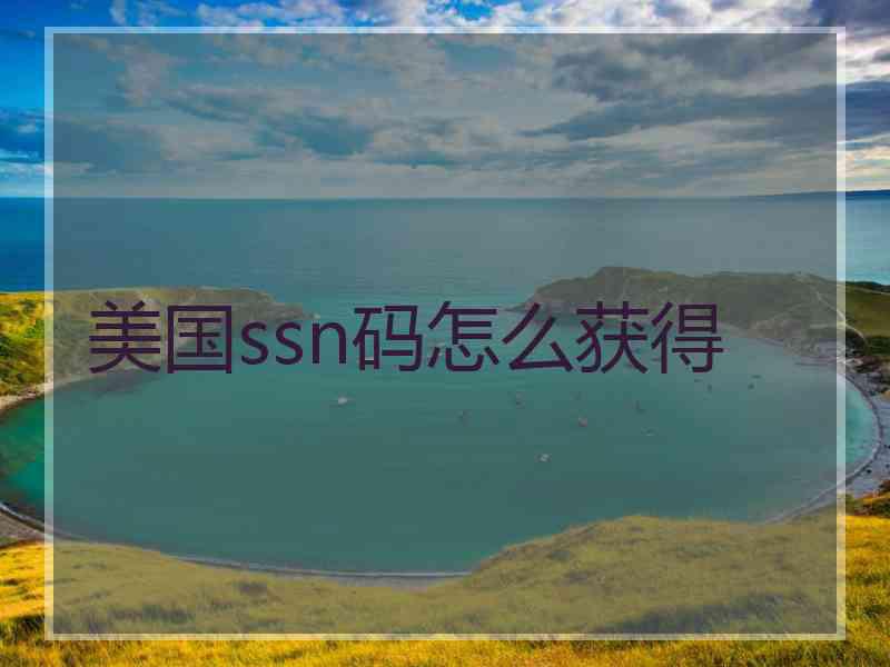 美国ssn码怎么获得 美国ssn码怎么获得