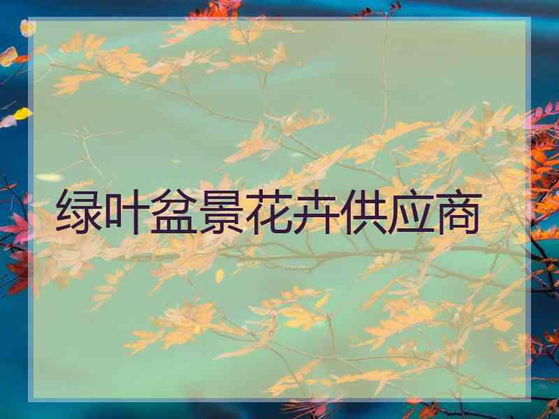 绿叶盆景花卉供应商 绿叶盆景花卉供应商