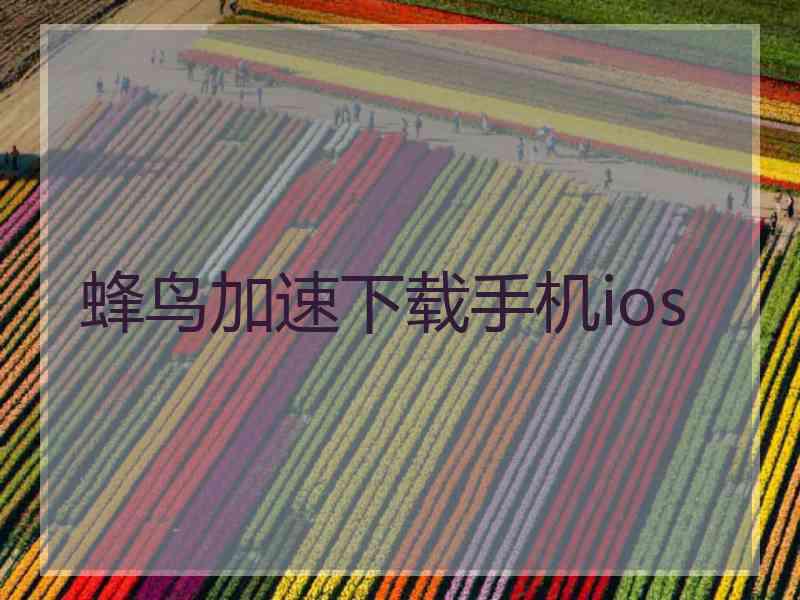 蜂鸟加速下载手机ios 蜂鸟加速下载手机ios