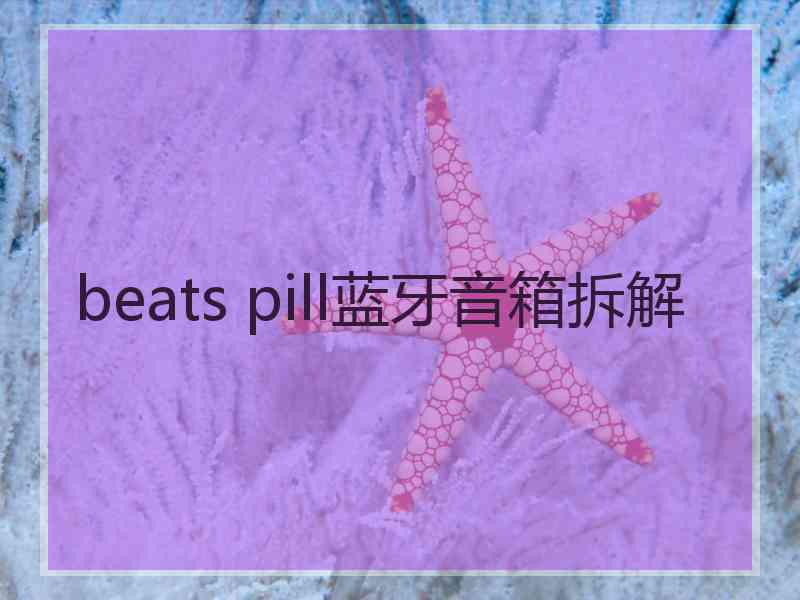 beats pill蓝牙音箱拆解 beats pill蓝牙音箱拆解