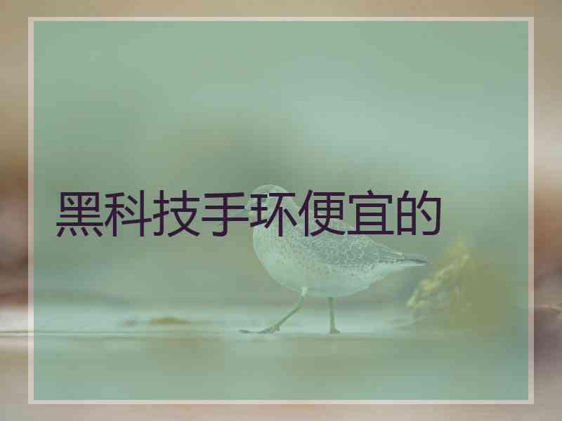 黑科技手环便宜的 黑科技手环便宜的