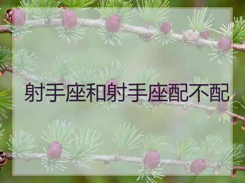 射手座和射手座配不配 射手座和射手座配不配