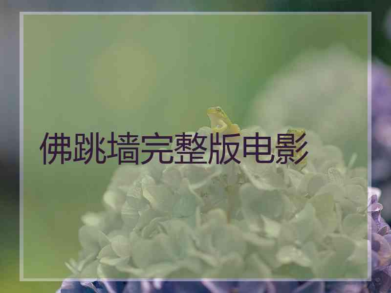 佛跳墙完整版电影 佛跳墙完整版电影