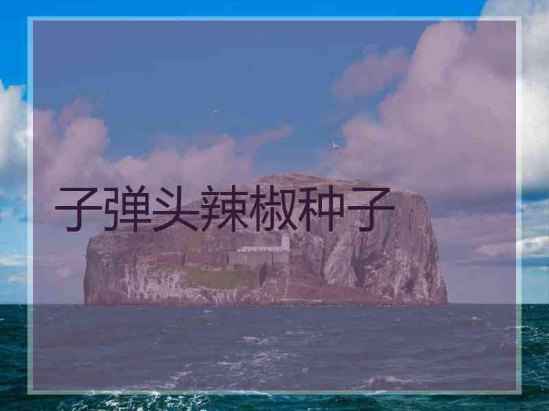 子弹头辣椒种子 子弹头辣椒种子