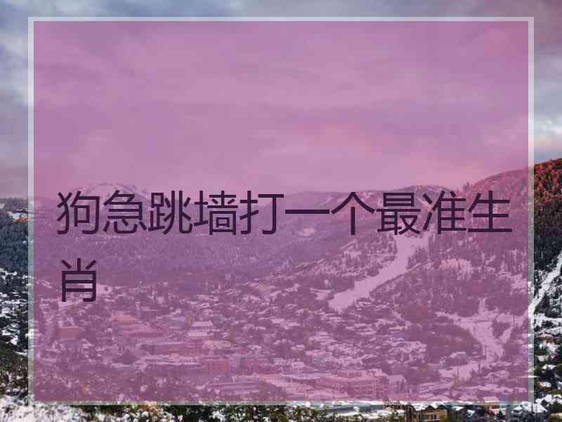 狗急跳墙打一个最准生肖 狗急跳墙打一个最准生肖