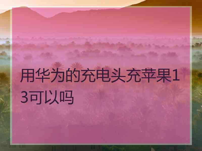 用华为的充电头充苹果13可以吗 用华为的充电头充苹果13可以吗