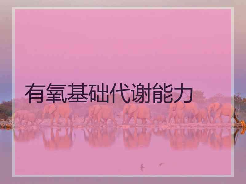 有氧基础代谢能力 有氧基础代谢能力