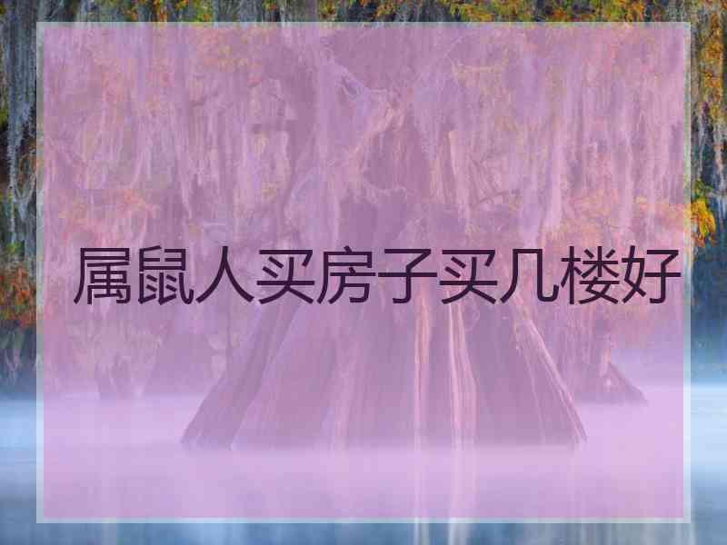 属鼠人买房子买几楼好 属鼠人买房子买几楼好