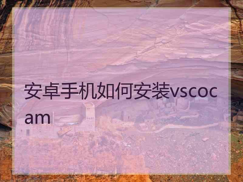 安卓手机如何安装vscocam 安卓手机如何安装vscocam