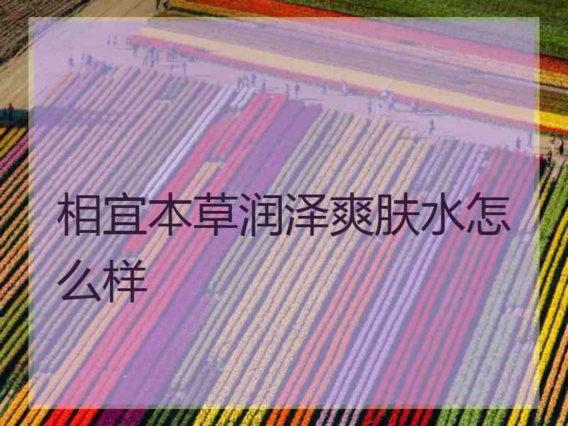 相宜本草润泽爽肤水怎么样 相宜本草润泽爽肤水怎么样