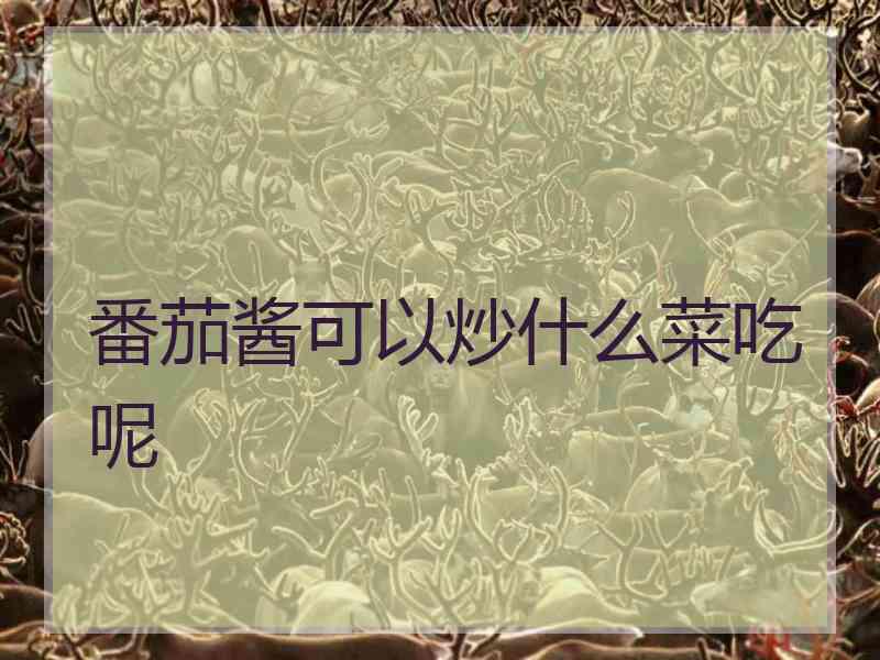 番茄酱可以炒什么菜吃呢 番茄酱可以炒什么菜吃呢