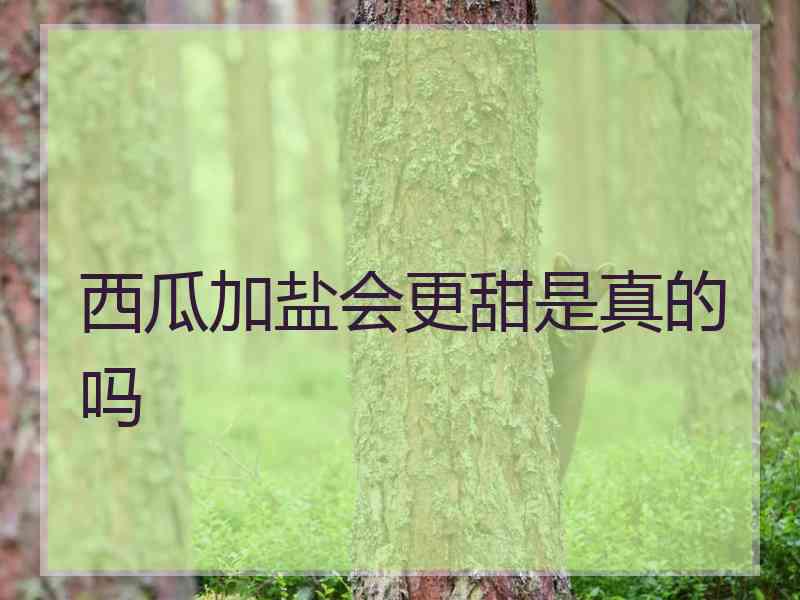 西瓜加盐会更甜是真的吗 西瓜加盐会更甜是真的吗