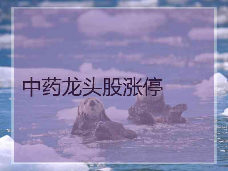 中药龙头股涨停 中药龙头股涨停