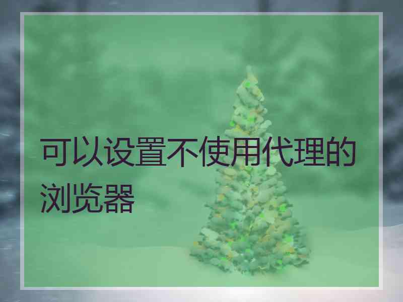 可以设置不使用代理的浏览器 可以设置不使用代理的浏览器
