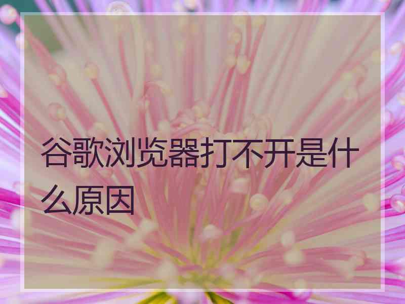 谷歌浏览器打不开是什么原因 谷歌浏览器打不开是什么原因