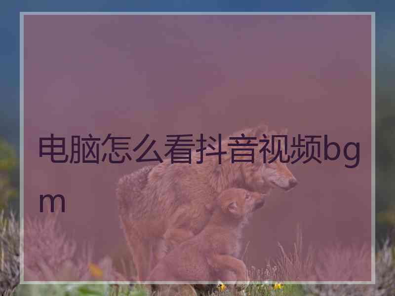 电脑怎么看抖音视频bgm 电脑怎么看抖音视频bgm